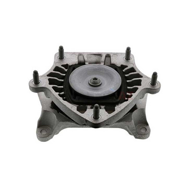 LTJ GEAR MOUNT كرسي جير - LTJ (2052402500)