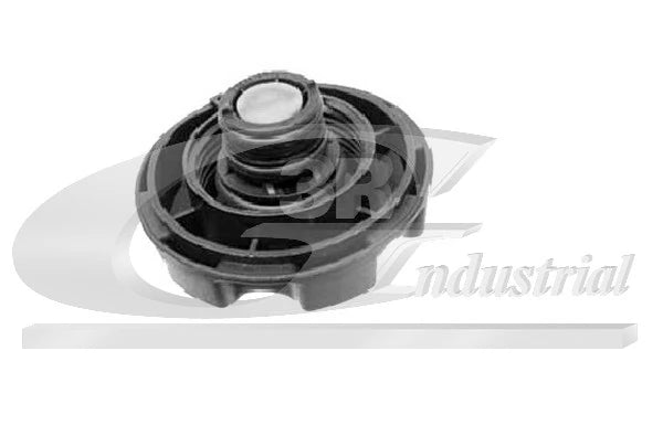 RADIATOR CAP غطاء خزان الماء – 17117639020